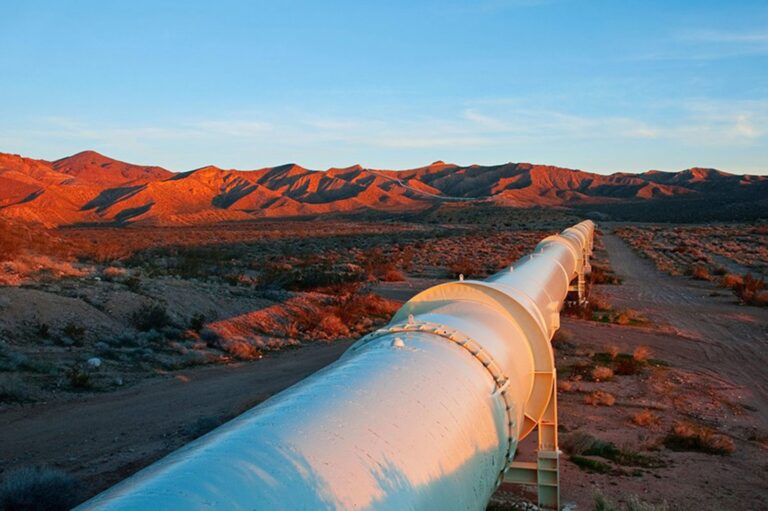 Projects 2025 june member news bin quraya